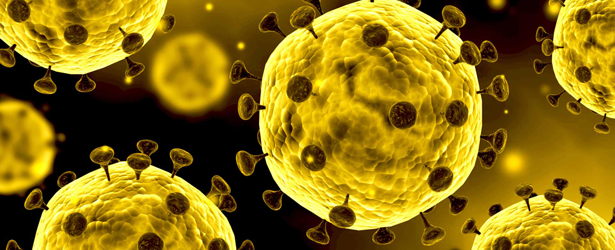 Coronavirus attacks — gold rises in price